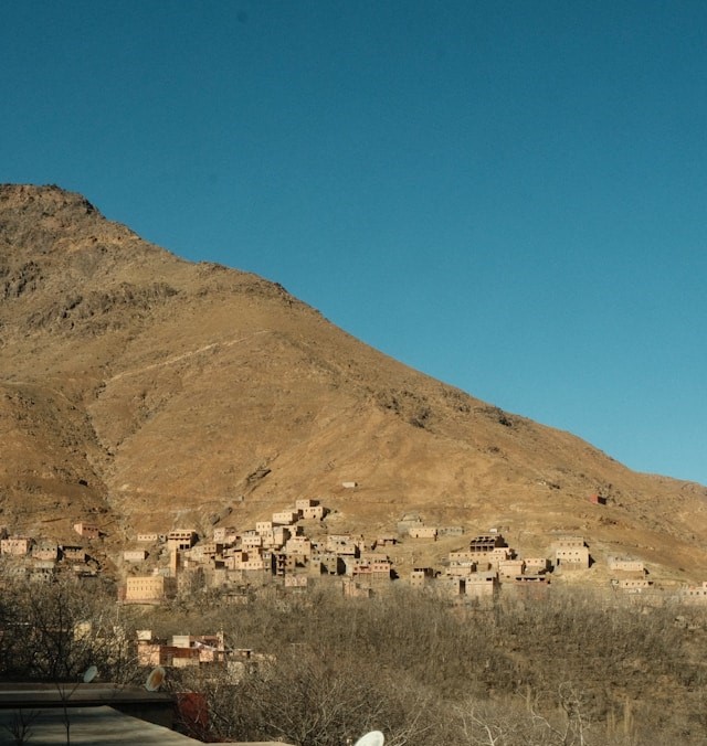 denis-oMztI4JnzIo-unsplash