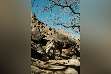 denis-r9pRbPjUjqg-unsplash (1)