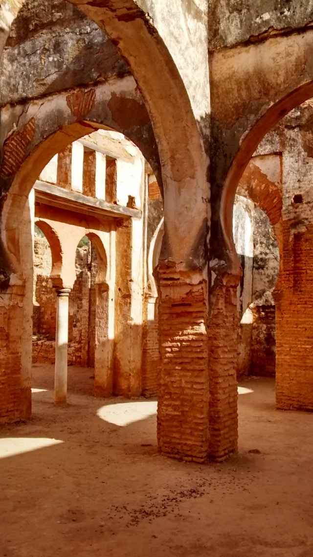 jx-pedro-nmFH9-3Cb68-unsplash (1)