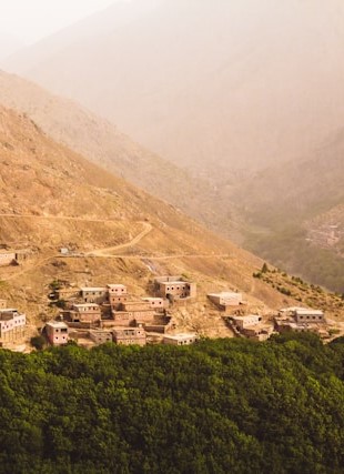 louis-hansel-erg9zCloOgs-unsplash