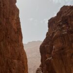 pexels-1093389518-31703992 pexels-1093389518-31703992