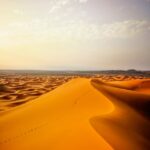 pexels-abdelhakim-jemhoun-49564043-7611347 (1) pexels-abdelhakim-jemhoun-49564043-7611347 (1)