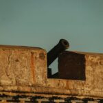 pexels-abdellah-ziki-1621531168-27693064