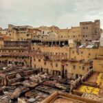 pexels-abdou-32521424 (1)