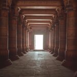 pexels-babix-7391593 (1)