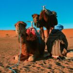 pexels-drethousand-8571110