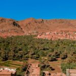 pexels-drethousand-8571115 pexels-drethousand-8571115