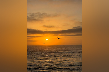 pexels-earth-photart-2149767641-31327072 (1)