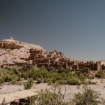 pexels-ed-duvico-530456-29107896 pexels-ed-duvico-530456-29107896