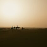 pexels-ed-duvico-530456-29107898 pexels-ed-duvico-530456-29107898