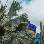 pexels-ekrulila-13794440 (1)