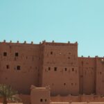 pexels-guledaaydemir-23456866