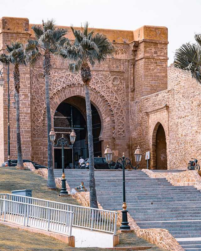 pexels-jean-marc-bonnel-387362531-19068534 (1)