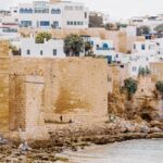 pexels-jean-marc-bonnel-387362531-19084081