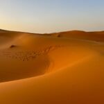 pexels-kristen-haennel-2149718872-30757346