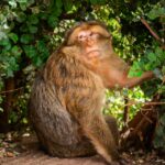 pexels-luigi-maggio-1750047758-28076404 pexels-luigi-maggio-1750047758-28076404