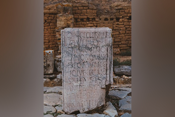 pexels-mag-photography-1501456-29131832 (1)