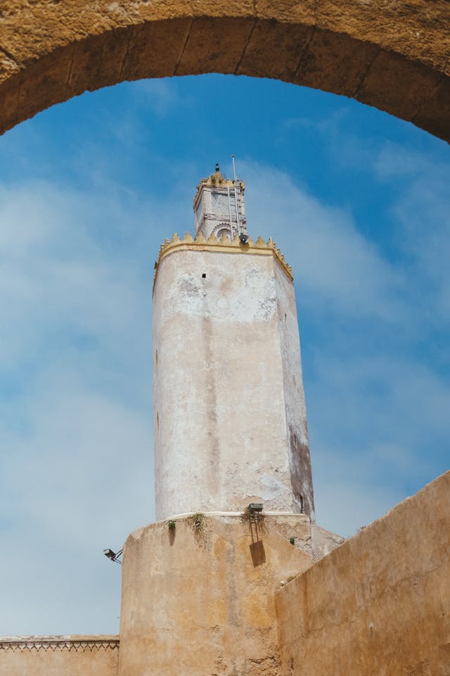 pexels-mag-photography-1501456-32040495