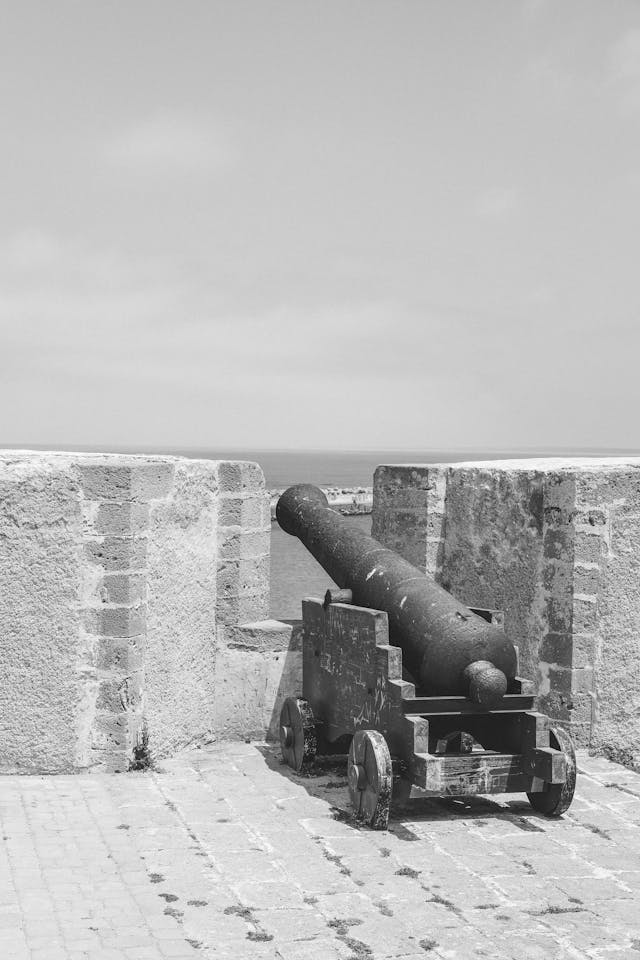 pexels-mag-photography-1501456-32048225