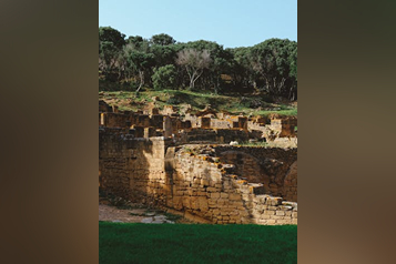 pexels-mag-photography-1501456-32086624 (1)