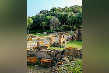 pexels-mag-photography-1501456-32173504 (1)