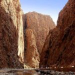 pexels-mographe-30369008 (1) pexels-mographe-30369008 (1)