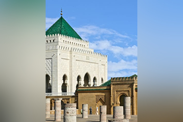 pexels-mographe-30411808 (1)