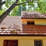 pexels-mographe-30797895 (1)