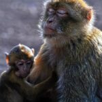 pexels-mographe-30798468