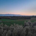 pexels-nourddine-sbaai-766068-1684242