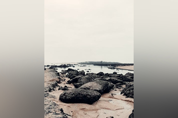 pexels-oussamalxrd-4663702 (1)