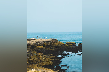 pexels-pexels-user-297238711-13291878 (1) (1)