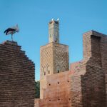 pexels-photogbasya-a-1171505293-30800176 (1)