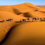 pexels-sergey-pesterev-69811391-8357638 (1)