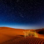 pexels-sergey-pesterev-69811391-8357639 (4)