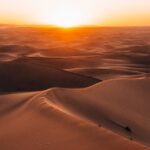 pexels-stijn-dijkstra-1306815-30710160