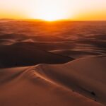 pexels-stijn-dijkstra-1306815-30710164 (2) pexels-stijn-dijkstra-1306815-30710164 (2)