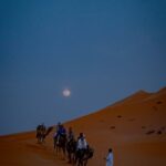 pexels-taken-by-great-1293037072-32600051 pexels-taken-by-great-1293037072-32600051