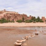 pexels-tom-d-arby-3904203-6771190 pexels-tom-d-arby-3904203-6771190