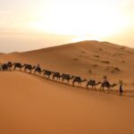 pexels-valr-studio-479653745-15848441