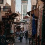 pexels-vlasceanu-19190850 (1)