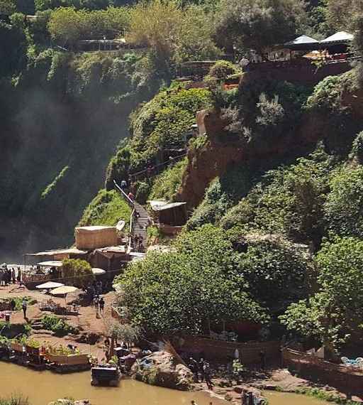 pexels-wahids-104610 (3) (1)