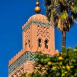 pexels-youssef-baalla-421912064-20710152 (1)