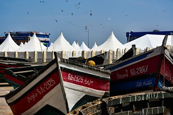 samy-slow-8Pf9ZGkDZrE-unsplash (1)