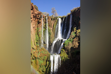 selina-bubendorfer-014r5PqRLJo-unsplash (1)