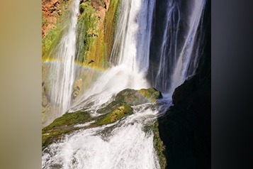 selina-bubendorfer-jP51Ai2tQGE-unsplash (1)