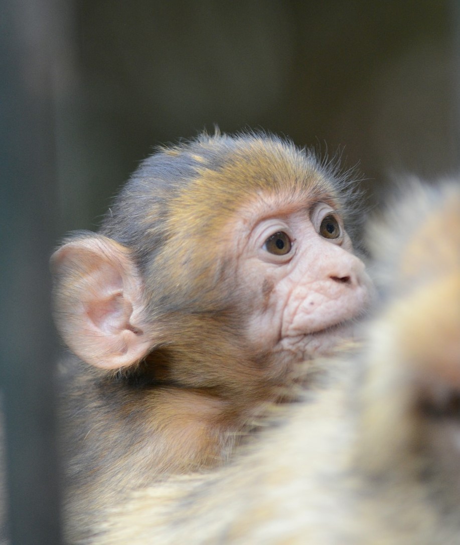 stefano-zocca-RBjK-yDfUcU-unsplash