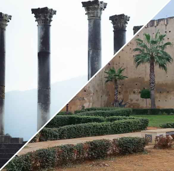 Untitled design - 2025-07-12T143328.218 (1)