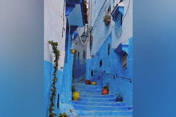 aron-van-remmerden-x0VvLkemYbY-unsplash (1)