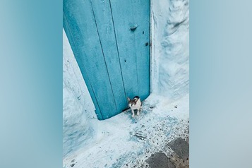 ilias-el-kyaki-WNHXCE3hwpo-unsplash (1)